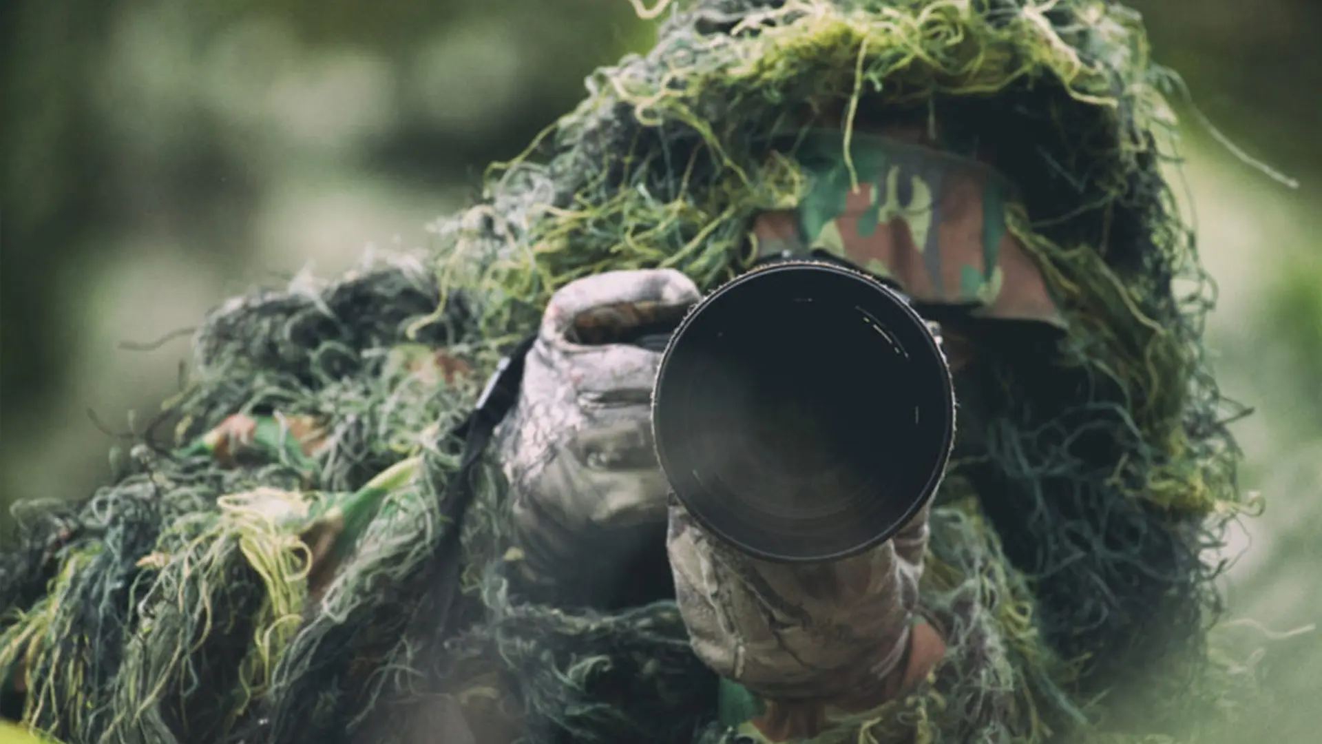 Valdet Galica photographiant la faune de la forêt de Fontainebleau